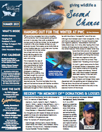 Wildlife Releases Hanging Gull President’s Perch 10 Ways To Support PWC New Members Clinic Volunteers Return Special Thank Yous