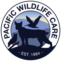 Pacific Wildlife Care Logo