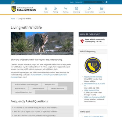 Fish and Wildlife website Thumbnail
