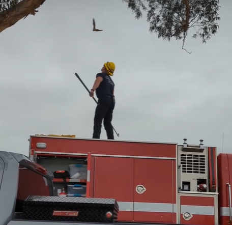 kestrel cal fire rescue 1